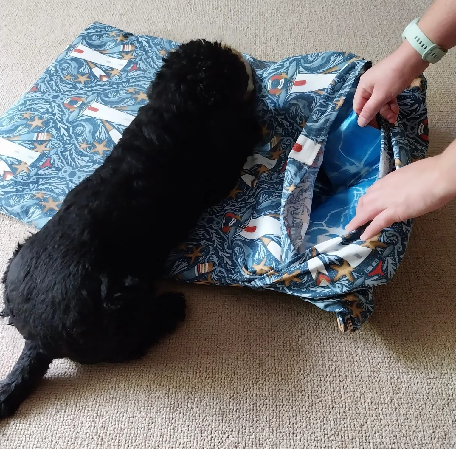 Luxury Comfort for Every Canine